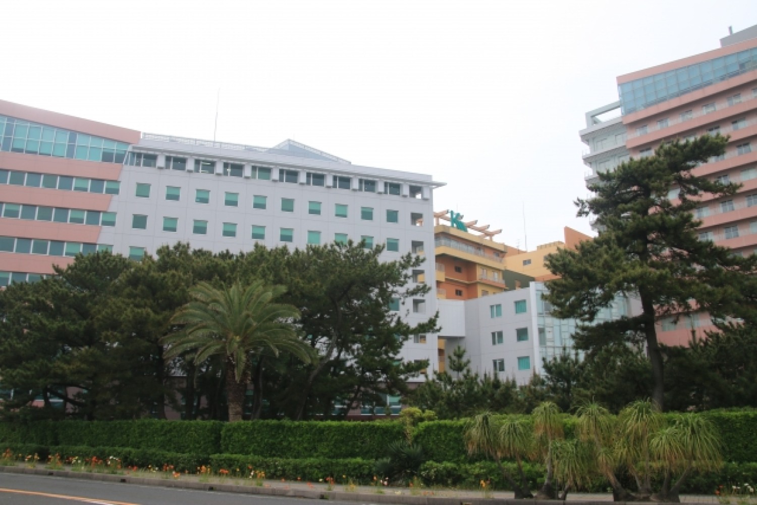 館山鴨川線(高規格道路)の一宮への延伸計画を後押しし、観光と医療アクセスの向上を目指す